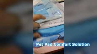 protection d'animal familier