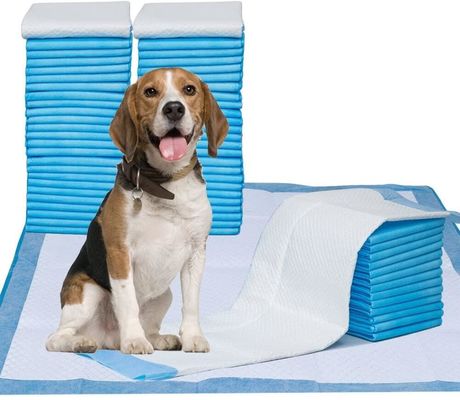 acheter 5-Ply Pet Training Pad avec matériau SAP super absorbant, support PE à l'épreuve des fuites et surface sèche rapide pour chiens et chats fabrication en ligne