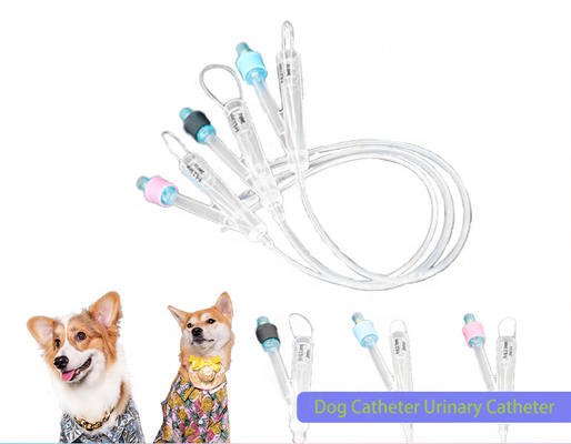acheter Animaux Médical Vétérinaire hydrophile Couche de silicone Super lubrifiante 2 voies cathéter à silicium pur Foley Chirurgie urinaire pour chiens fabrication en ligne