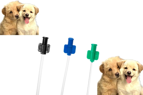 acheter Cathéter urinaire pour chien en PVC, rinçage et maintien, tube pour animaux de compagnie, pour les soins urinaires canins fabrication en ligne