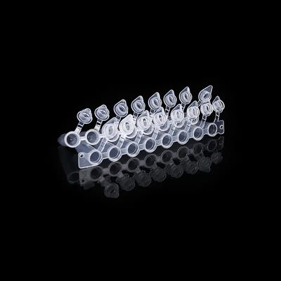 Bon prix Bande en forme de dôme du tube 8 d'ACP des chapeaux 0.2ml avec le tuyau relié attaché de l'ACP huit de chapeau en ligne