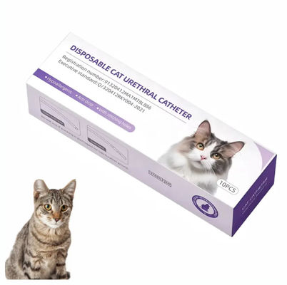 Bon prix Cathéter urinaire pour chat avec stylet, cathéter de maintien et de rinçage vétérinaire professionnel pour les soins félins en ligne