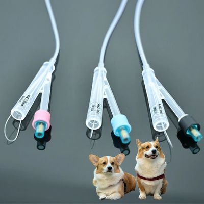 Bon prix Catéters urinaires pour chiens vétérinaires ️ Matériau PVC/Silicone de haute qualité, solutions durables pour les soins des animaux de compagnie en ligne