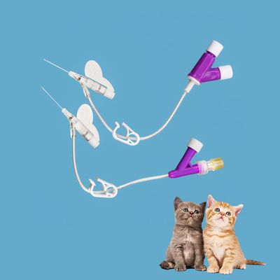 Bon prix Canule IV en PVC en acier inoxydable pour chat et chien de type Y, meilleure fixation, taille multiple 14g 16g 18g 20g 22g 24g 26g en ligne