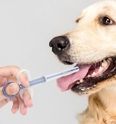 Bon prix Tubes d'alimentation pour animaux de compagnie Chien chat Pilule pistolet Médecine Seringuette Kit d'alimentation en plastique durable en ligne