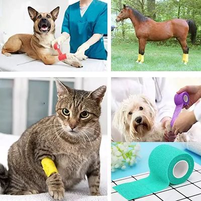 Bon prix Bande élastique vétérinaire de qualité médicale, non stérile, classe I, auto-adhésive et flexible pour les soins des plaies et le soutien articulaire des chiens et des chats en ligne