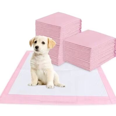Bon prix Pad jetable pour animaux de compagnie super absorbant, à séchage rapide et étanche aux fuites, destiné à l'entraînement des chiots et à l'usage intérieur en ligne